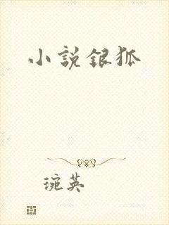 小说银狐