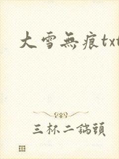 大雪无痕txt