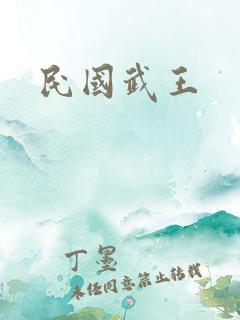 民国武王