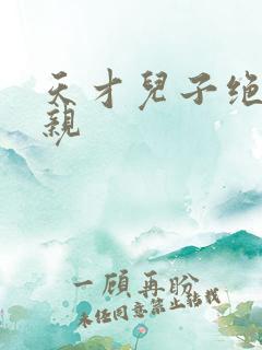 天才儿子绝色娘亲