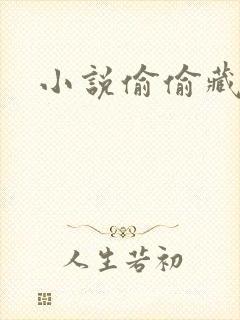 小说偷偷藏不住