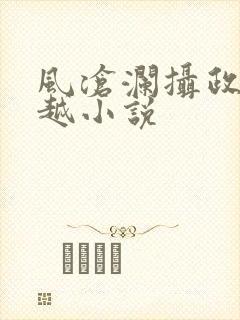 风沧澜摄政王穿越小说