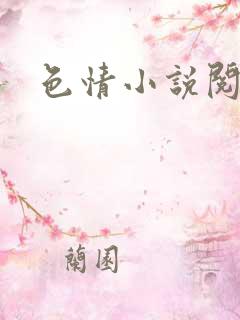 色情小说阅读