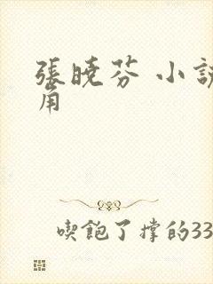 张晓芬 小说主角