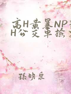 高H黄暴NP辣H公交车检票员