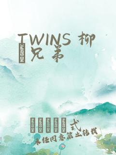 TWINS 柳澤兄弟
