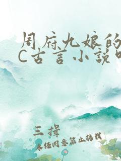 周府九娘的NPC古言小说叫什么