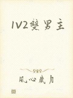 1V2双男主