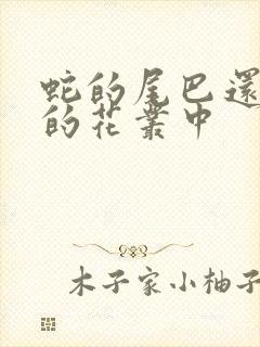 蛇的尾巴还在我的花丛中