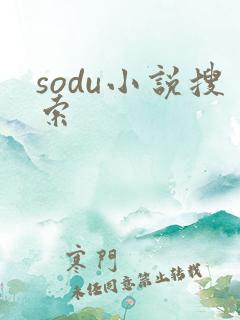 sodu小说搜索