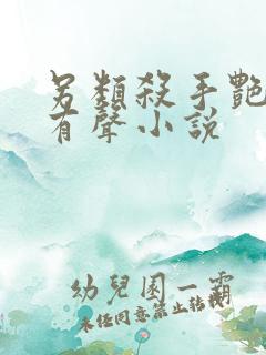 另类杀手艳福星有声小说