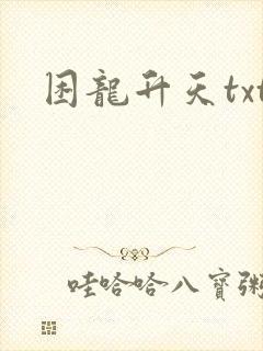 困龙升天txt