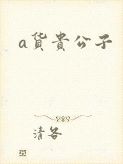 a货贵公子