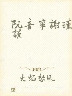 阮音宁谢瑾之小说