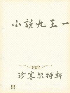 小说九王一后