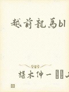 越前龙马bl
