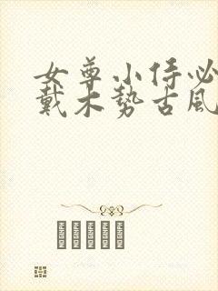 女尊小侍必须佩戴木势古风