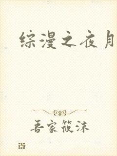 综漫之夜月