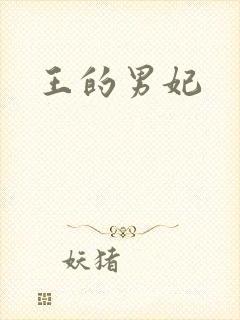 王的男妃