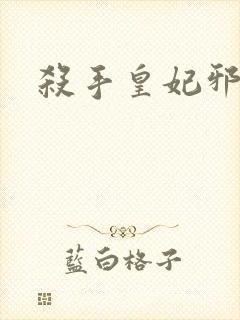 杀手皇妃邪魅帝