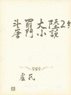 斗罗大陆2绝世唐门小说