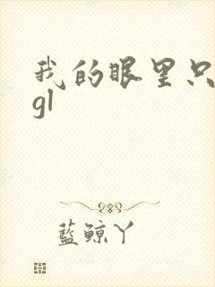 我的眼里只有你gl