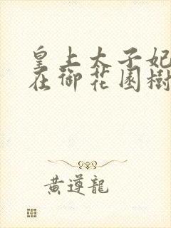 皇上太子妃沈音在御花园树上