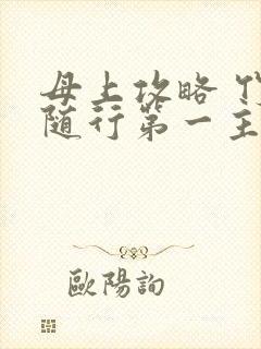 母上攻略 竹影随行第一主板