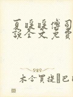 夏暖暖傅司寒小说全文免费阅读