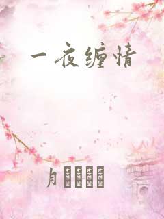 一夜缠情