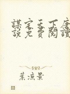 谋定天下唐诚小说免费阅读