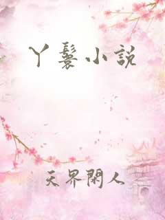 丫鬟小说