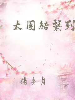 太团结系列