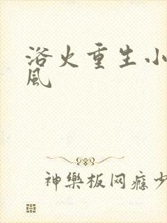 浴火重生小说陈风