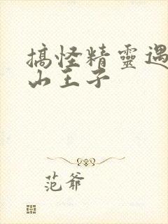 搞怪精灵遇上冰山王子