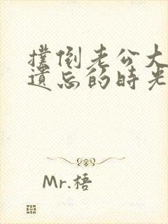 扑倒老公大人在遗忘的时光里重逢