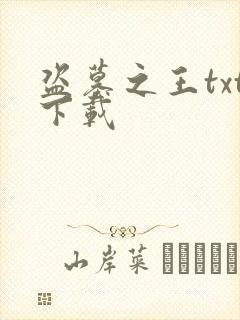 盗墓之王txt下载