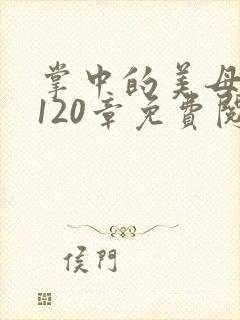 掌中的美母版主120章免费阅读