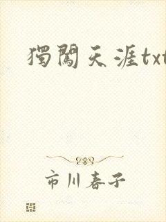 独闯天涯txt
