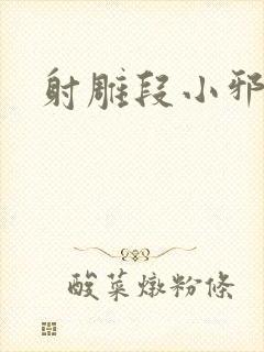 射雕段小邪传