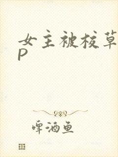 女主被校草们NP