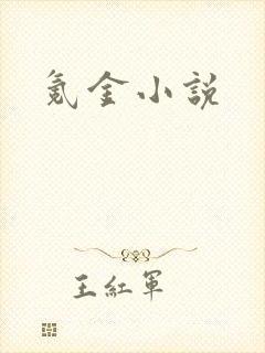 氪金小说