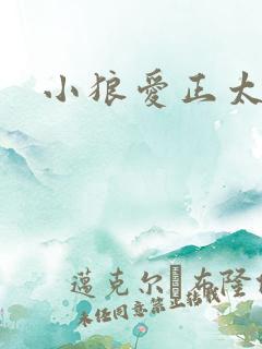 小狼爱正太