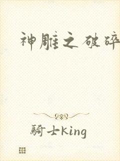 神雕之破碎之旅