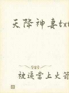 天降神妻txt