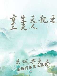 重生天龙之推倒王夫人