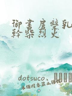 御书房双乳晃动干柴烈火