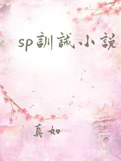 sp训诫小说