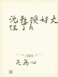 沈教授好大含不住了h