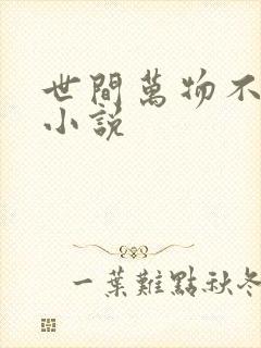 世间万物不及你小说